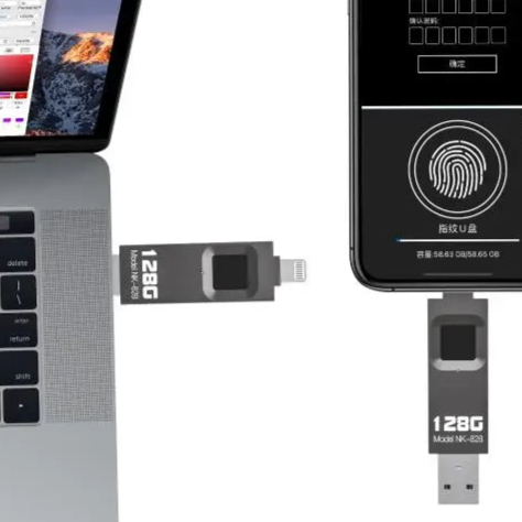 Pen Drive com Impressão Digital Compre 1 Leve 2