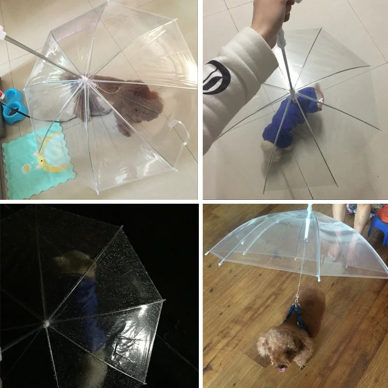 Guarda-Chuva Transparente para Cão