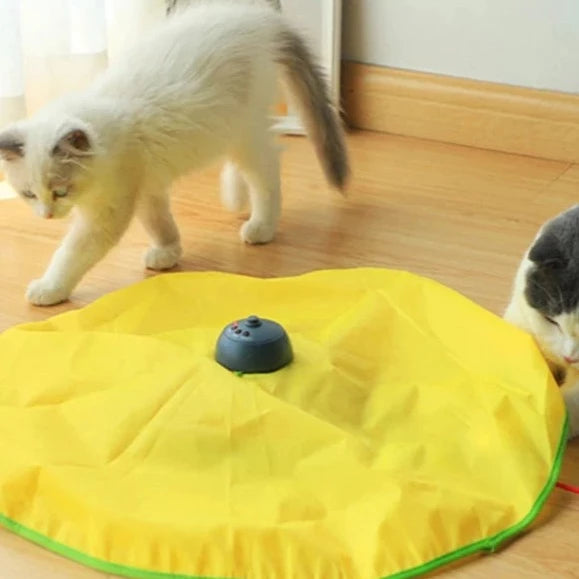 Brinquedo Divertido Perseguição Gatos