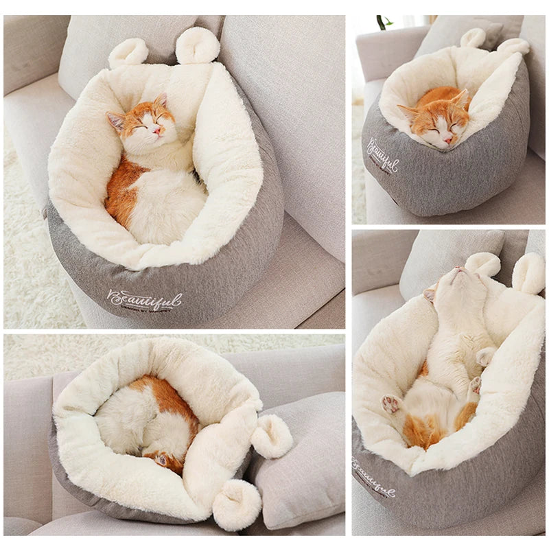 Cama de Gato de Coelho