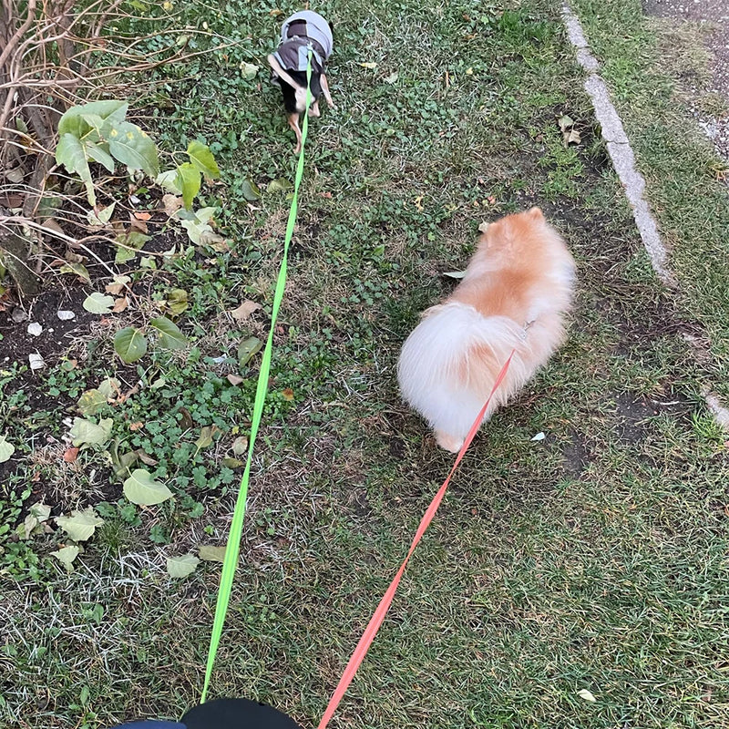 Coleira Dupla para Cachorro